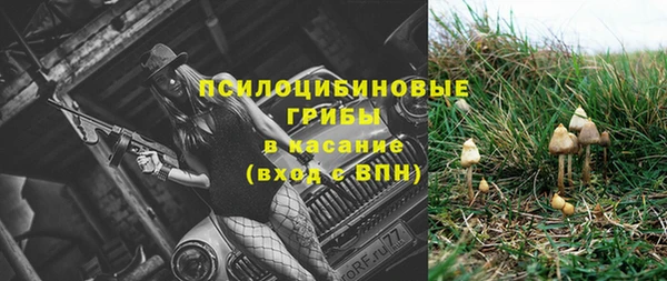 ПСИЛОЦИБИНОВЫЕ ГРИБЫ Белая Холуница